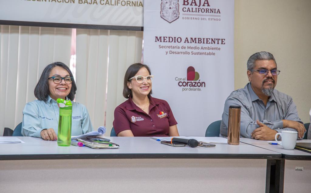 Mexicali 2.jpg