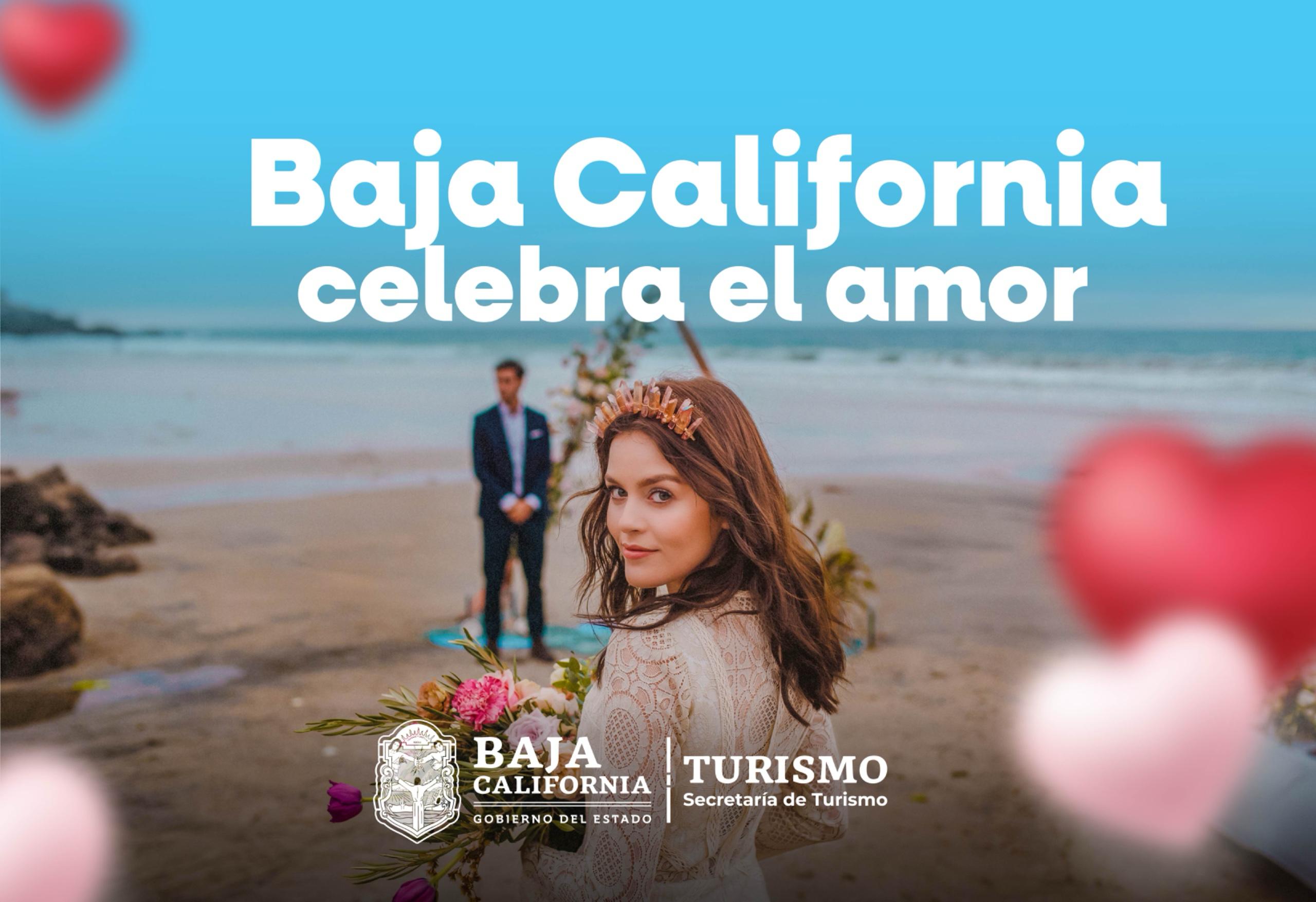 WhatsApp Image 2026-02-14 at 09.21.54.jpeg