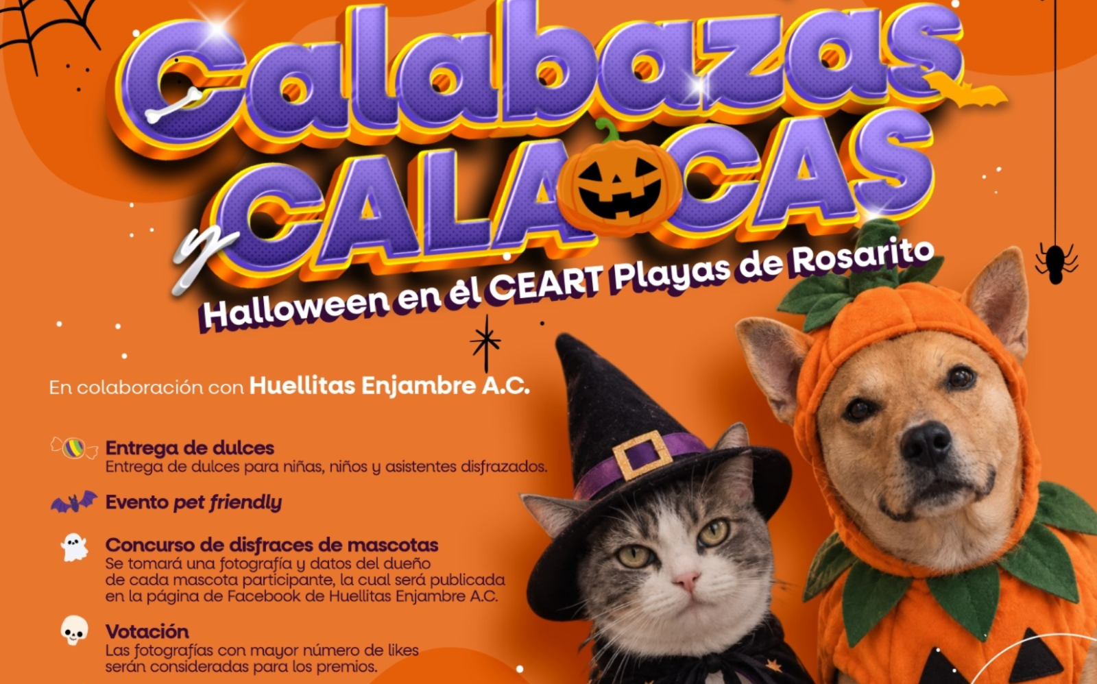 CEART ROSARITO  INVITA A CELEBRAR EL DÍA DE MUERTOS Y HALLOWEEN